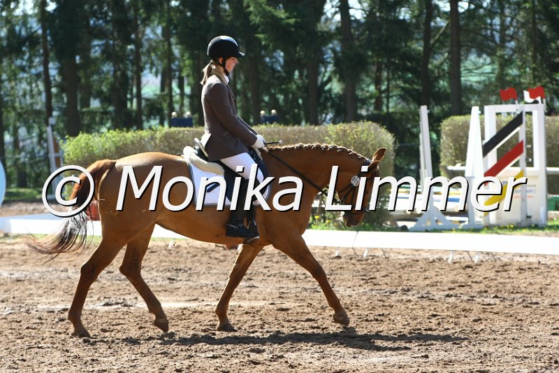 204M7901_D.Ss Wanna Do it_Dressur_E.JPG